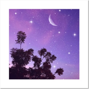 Starry Evening Sky Posters and Art